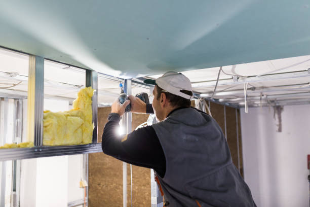 Best Wall Insulation Contractor  in Swepsonville, NC