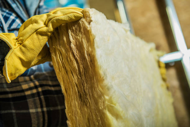 Insulation Replacement Services in Swepsonville, NC