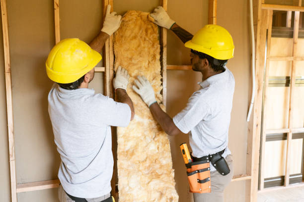 Best Insulation Removal  in Swepsonville, NC