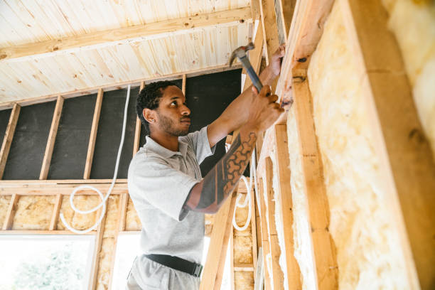Best Crawl Space Insulation  in Swepsonville, NC
