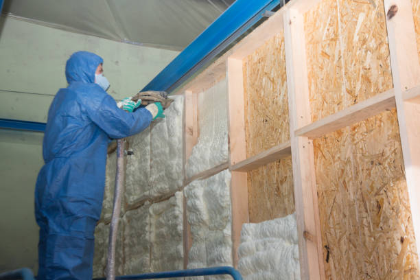 Best Residential Insulation Services  in Swepsonville, NC