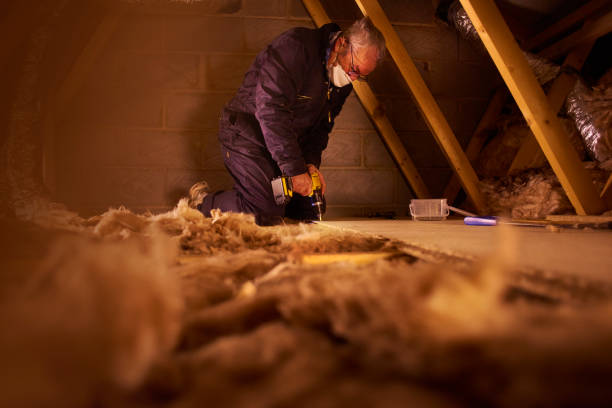 Best Home Insulation Services  in Swepsonville, NC